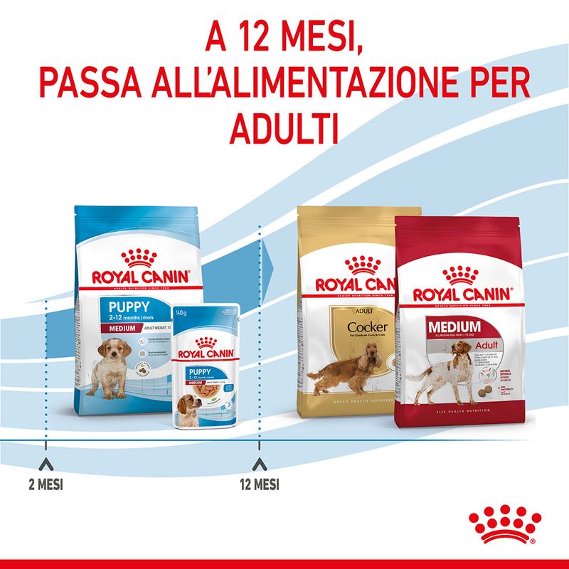 Royal Canin Medium Puppy 15kg - Crocchette per Cani Royal Canin Medium Puppy 15kg - Crocchette per Cani